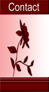 Contact  page left sidebar Flower image