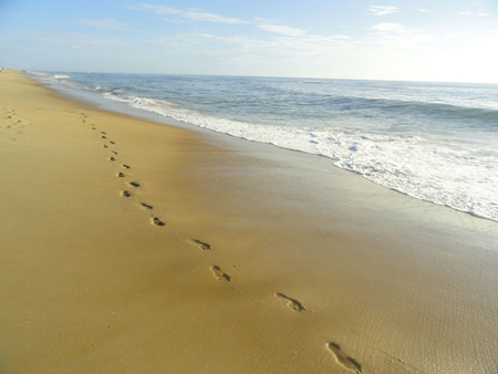 Footprints-in-Sand-by-Waves